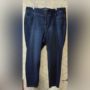 LANE BRYANT Women's Skinny Jeans size 24